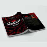 کتاب سنگدل اثر مریسا مایر ترجمه لیلا دژالون انتشارات آراستگان